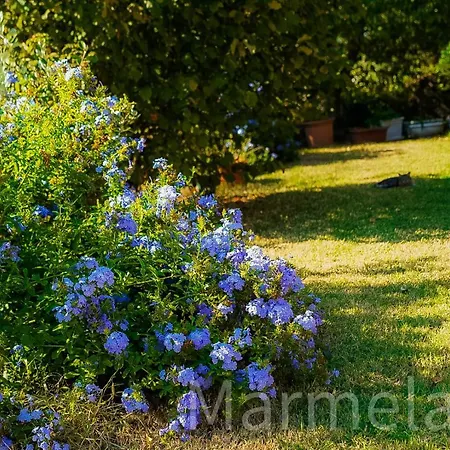 Marmelade * Zagarolo