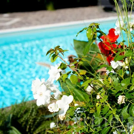 Сasa de vacaciones Marmelade Zagarolo